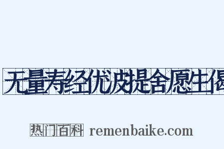 无量寿经优波提舍愿生偈是什么意思的图片